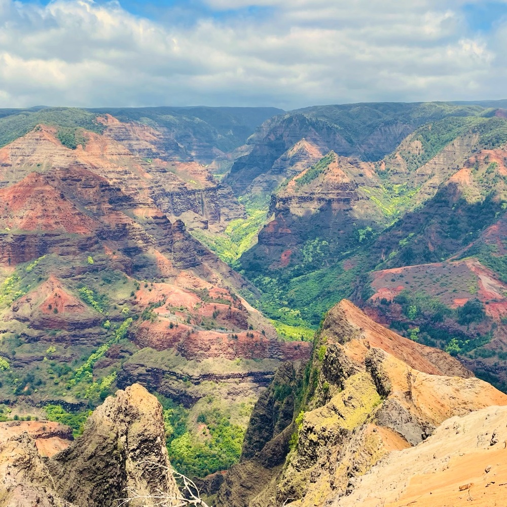 Meet your Posher, Patti